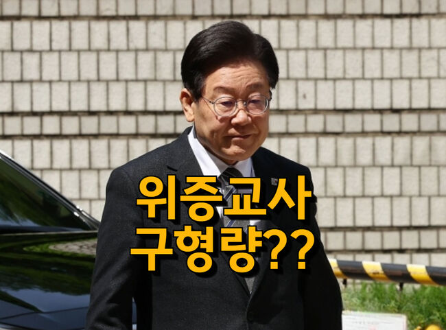 이재명의 위증교사 결심공판이 30일. 구형량에 관심이 모아진다 (그래픽-가피우스)