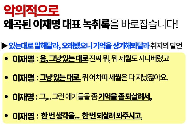 더불어민주당 기자회견문 (사진=더불어민주당 홈페이지 캡쳐)