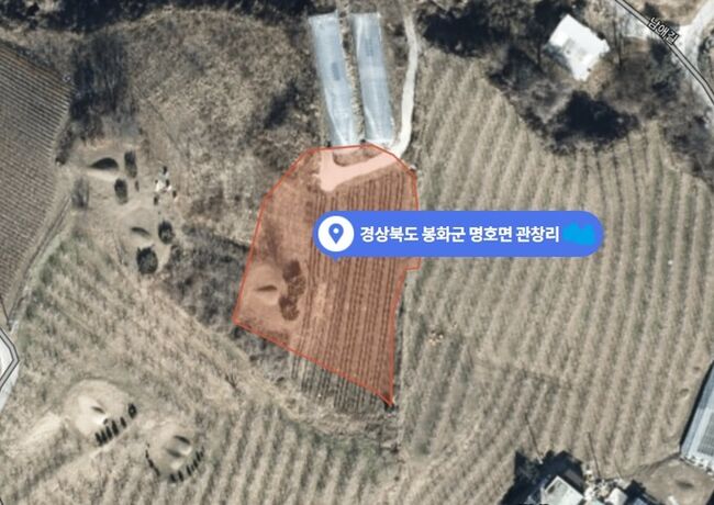 이재명 대표 선친 묘소 장사법 위반 확인 (사진=네이버지도 갈무리)