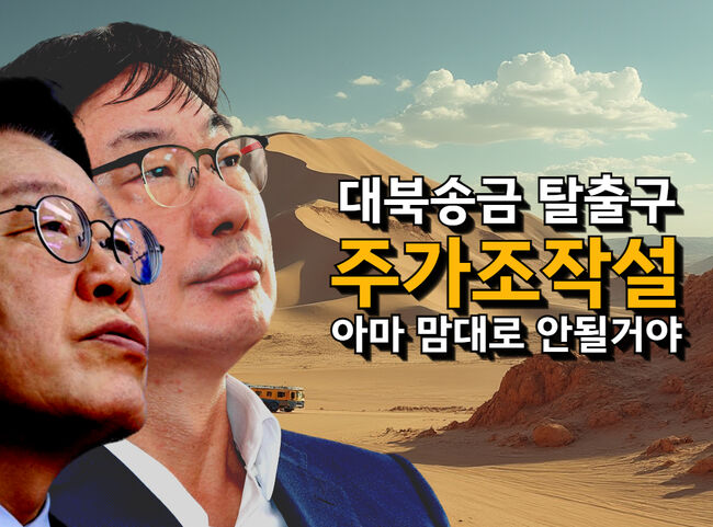 민주당이 대북송금 리스크를 피하려 최선을 다해 밀고 있는 '주가조작설' (이미지 = 가피우스)