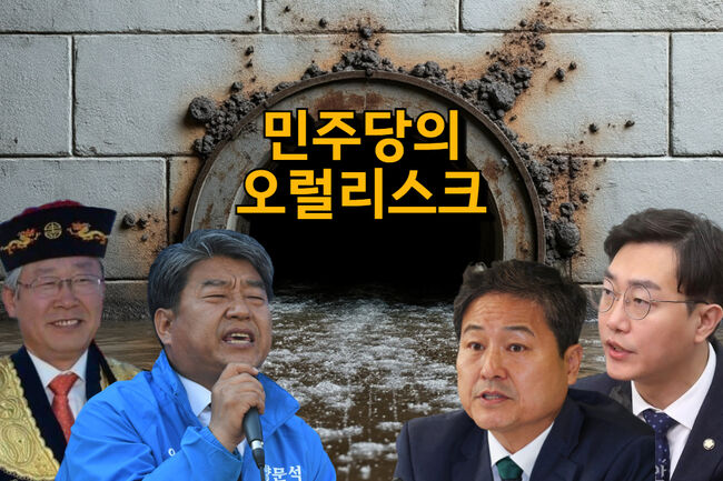 개딸들만 후련하면 그만인 민주당의 막가는 발언들 (그래픽=가피우스)