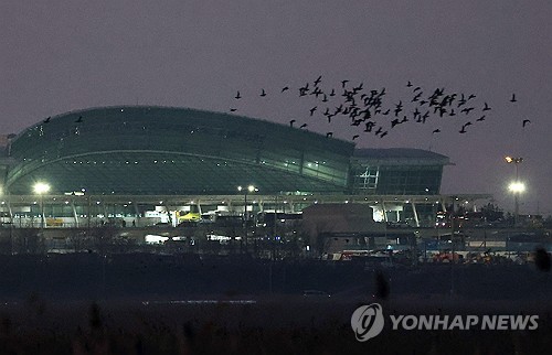무안국제공항 (사진=연합뉴스)