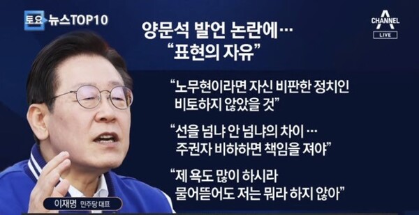 혜경궁 김씨는 모르는 일, 양문석의 발언은 표현의 자유라고 한 이재명 대표 (사진=채널A 갈무리)