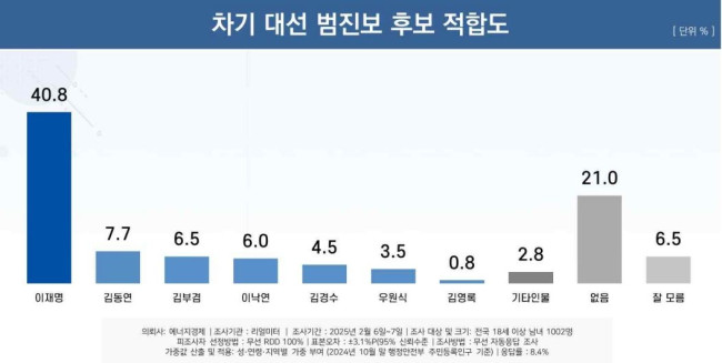 차기 대선 범진보 후보 적합도