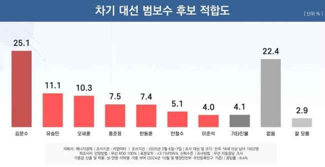 차기 대선 범보수 후보 적합도