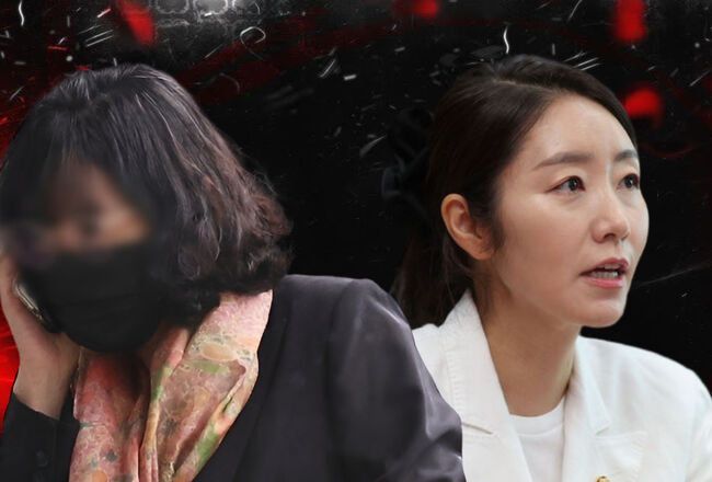 배소현 갑질은 듣지도 보지도 못하는 민보협이 왜 강선우 갑질엔 분노를 금할 길이 없을까? (그래픽-가피우스)
