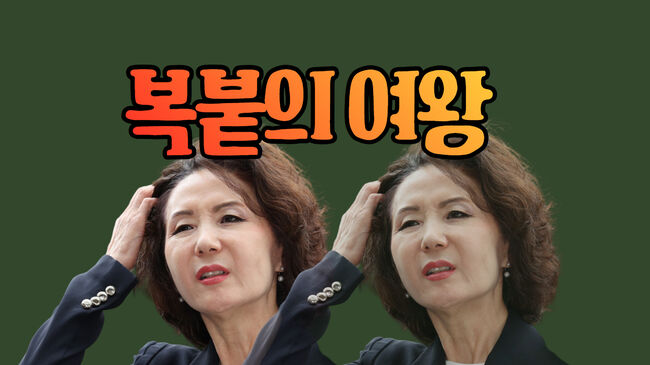 그래픽=가피우스