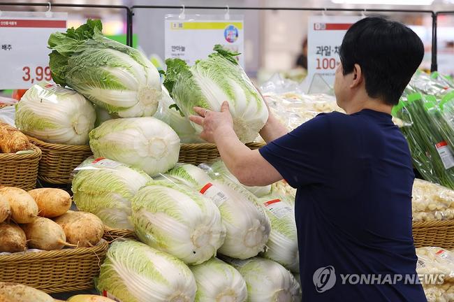 연이은 무더위와 폭염으로 농작물 피해가 급증해 밥상물가에 비상이 걸렸다. (사진: 연합뉴스)