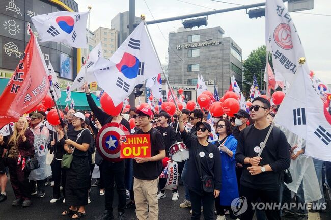 사진 : 보수단체들의 반중 시위 (연합뉴스)